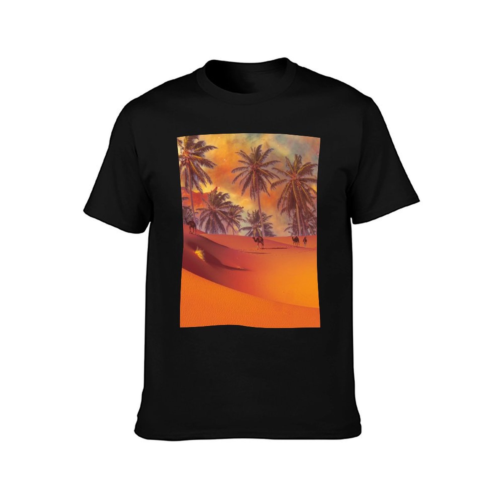 Oase in der Wüste, Bild für Ab – Oasis Outdoor Adventure Bewertung und Preis