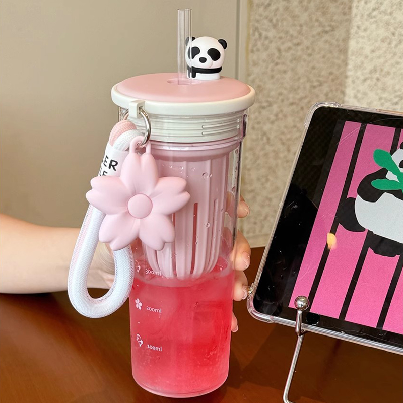 650 ml Kawaii Wasserflasche mi – Water Filter Straw Bewertung und Preis